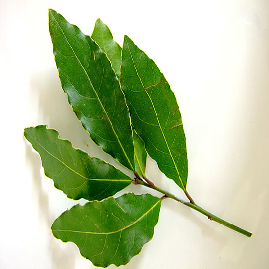 LAUREL HOJAS 500 GR CUYAIRES
