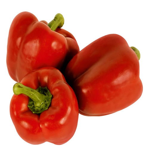 MORRON CUMANA 750 GR