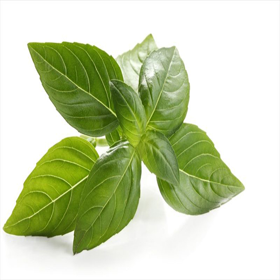 ALBAHACA 1 KG CUYAIRES